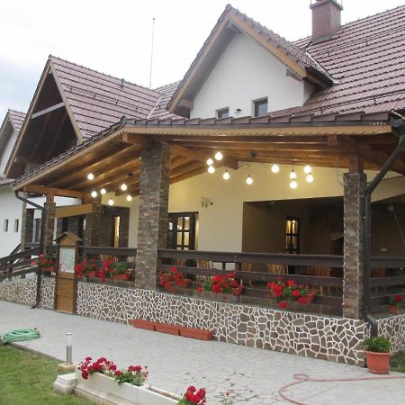 Nut House Retezat Hotel Nuksora Kültér fotó